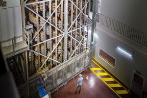 Vicky Foods se consolida en la categoría de pan con un incremento de su producción del 38% en 2021, Vicky Foods - grupo de alimentación: Dulcesol, HnosJuan y Be Plus