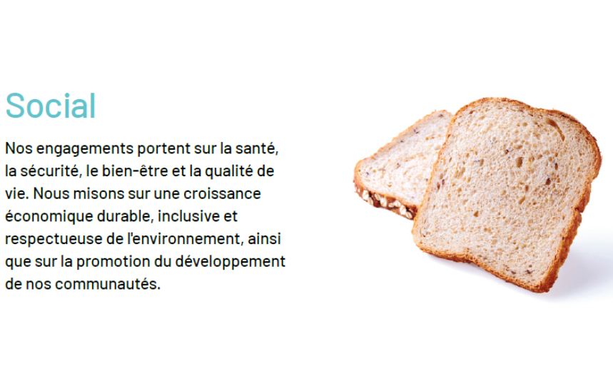 Social, Vicky Foods - grupo de alimentaci&oacute;n: Dulcesol, HnosJuan y Be Plus