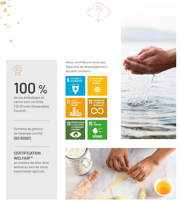 Environnemental, Vicky Foods - grupo de alimentación: Dulcesol, Hermanos Juan y Be Plus
